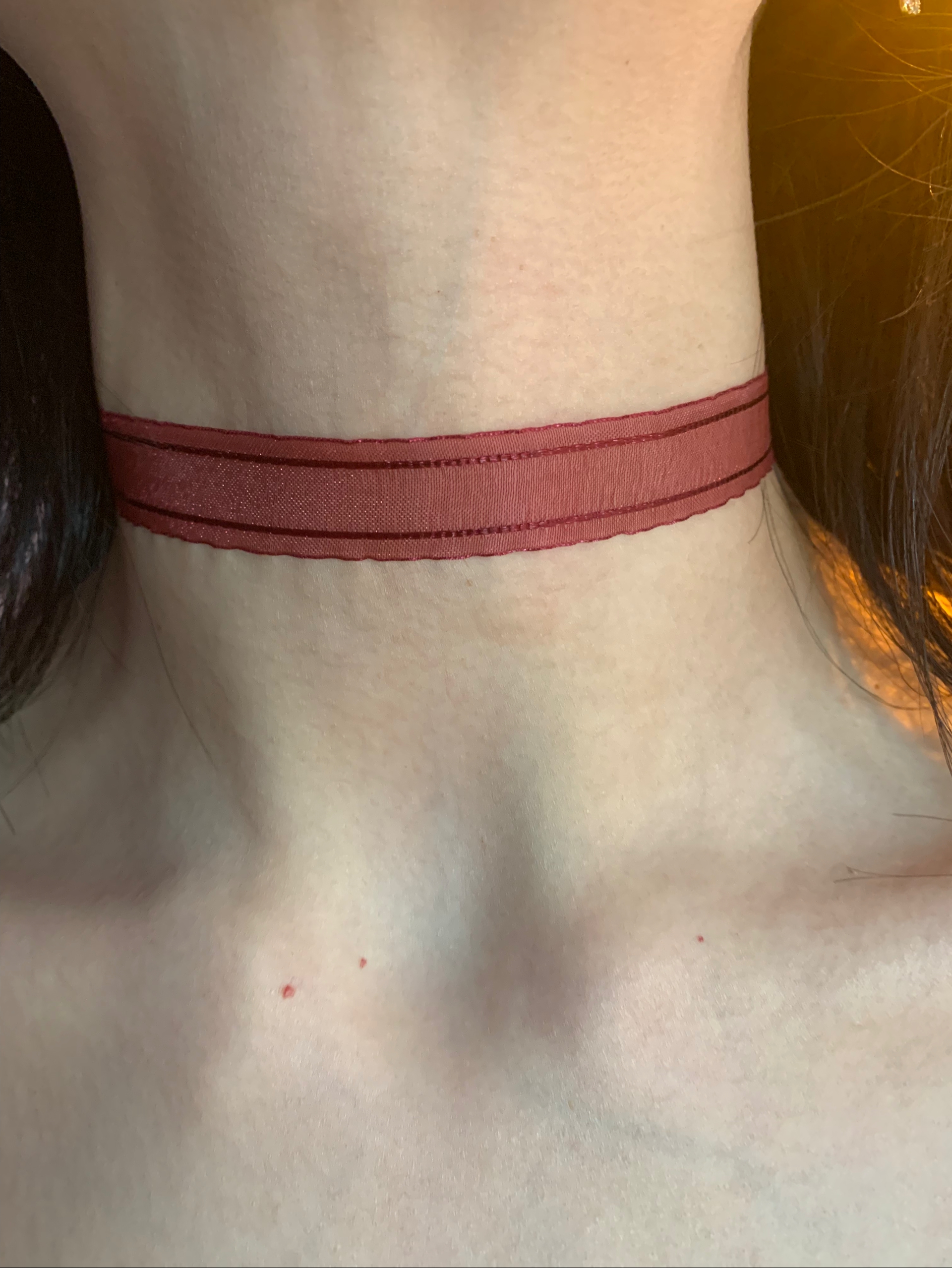 棠洛 微透网纱暗红choker颈链女性感辣妹风简约项圈氛围感锁骨链