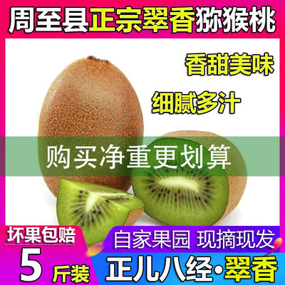 陕西周至县绿心翠香徐香猕猴桃