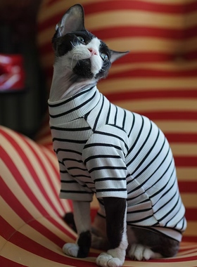 无毛猫德文猫夏季纯棉紫色条纹打底衣长袖短袖吊带清凉防晒长袖