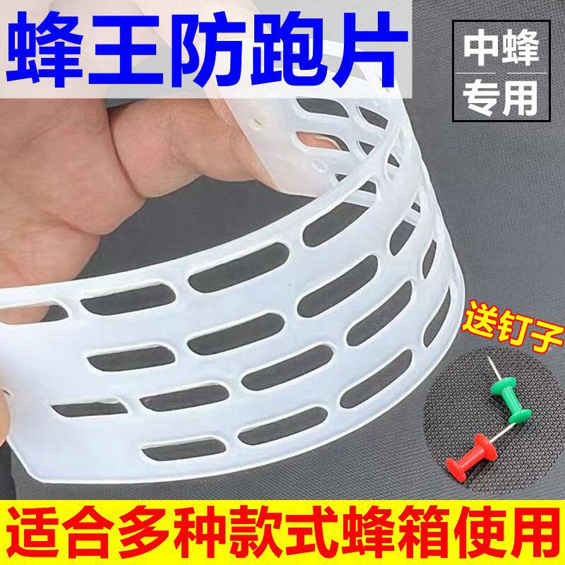 中蜂防跑片隔王片多功能蜂王防逃片蜂箱巢门专用养蜜蜂工具防盗蜂