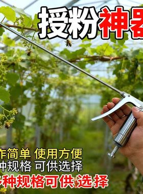 不锈钢喷雾器西红柿授粉器花卉喷花器番茄樱桃西瓜黄瓜点花喷花器