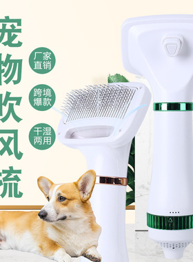 Pet hair dryer with integrated hair blowing function吹水机