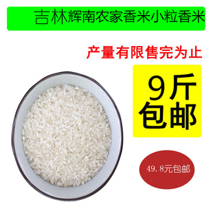 2020年新米东北特产吉林辉南大米 辉南香米农家米小粒香米9斤包邮