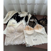 抹胸上衣 蕾丝吊带背心女内搭带胸垫打底美背内衣修身 春夏新品 法式