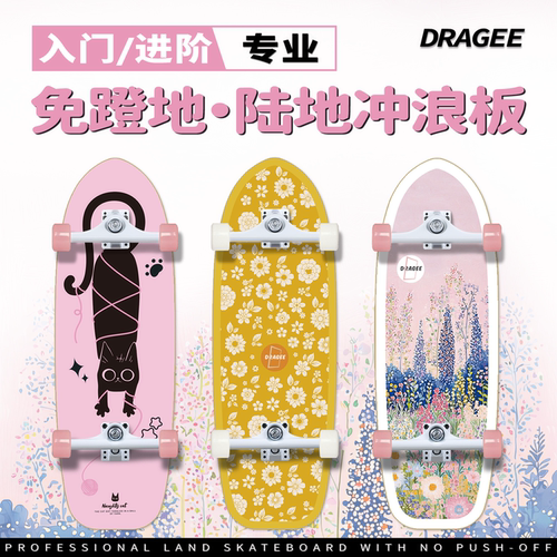 DRAGEE新手进阶通用陆地冲浪板