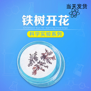 铁树开花结晶实验男女孩科技小制作diy化学材料包科学教学用具