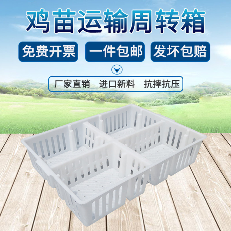 厂家供应鸡苗筐鸭苗筐周转箱 小鸡小鸭 隔板箱雏鸡运输收纳箱包邮