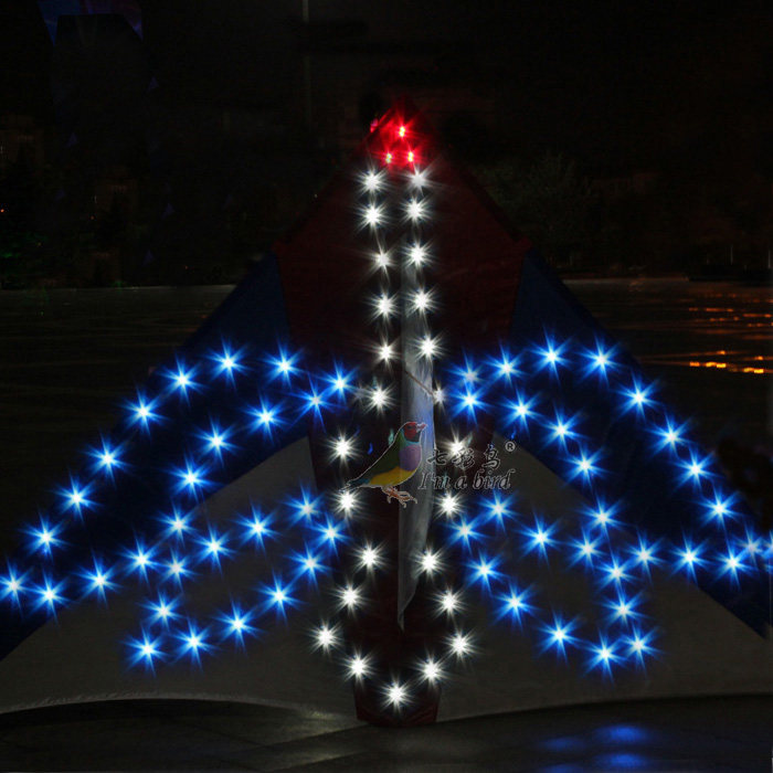 潍坊夜光风筝 夜光led伞布天鹅风筝 新款成人儿童卡通风筝线轮