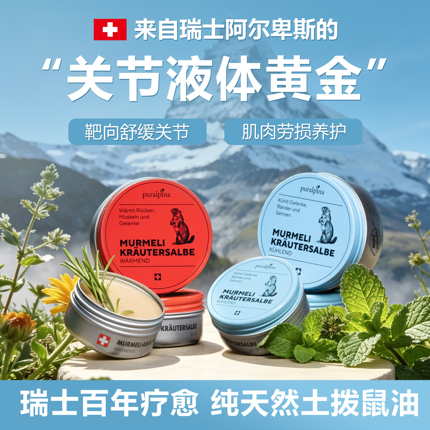 瑞士 土拨鼠油膏  Puralpina 舒缓热敷冷疗韧带关节肩周腰椎不适