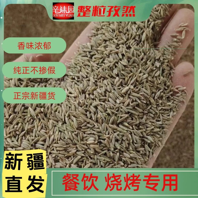 孜然粒烧烤孜然整粒500克包邮新疆烤肉串料阿克苏喀什吐鲁番孜然,粮油调味/速食/干货/烘焙,香辛料/干调类,淘宝优惠券,粉丝福利购,淘宝优惠卷