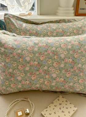 枕套2025新款纯棉一对装48cmx74cm儿童乳胶枕头套40x60大号50x80