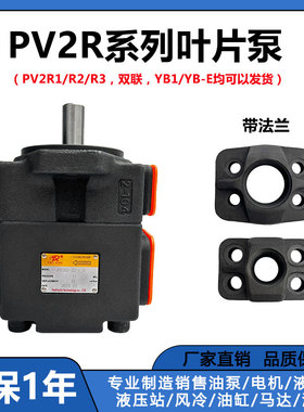 液压油泵高压叶片泵PV2R1-10-F 液压站配件液压泵总成液压泵PV2R2