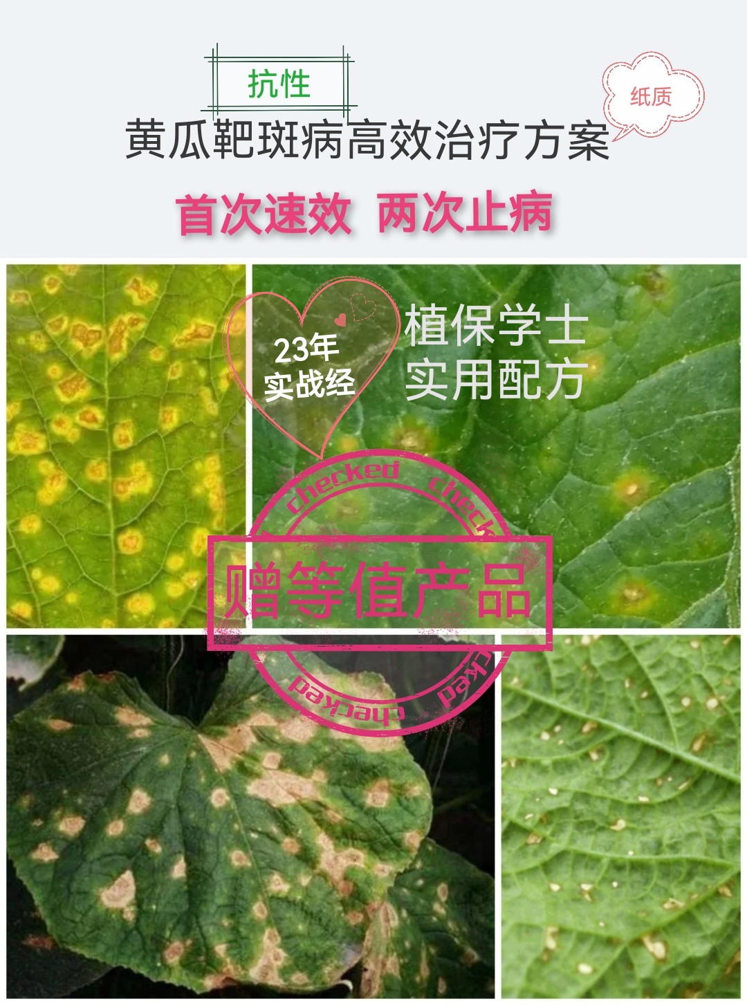 保护地黄瓜靶斑病小黄点炭疽病叶斑病高效治疗方案兑水60公斤