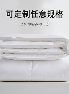 定制特大号被芯250x270x280cm四季被子260*240春秋被3米夏凉被230