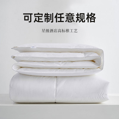 定制特大号被芯250x270x280cm四季被子260*240春秋被3米夏凉被230