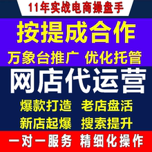 淘宝代运营纯提成个人拼多多天猫指导整网店铺万相台推广托管优化