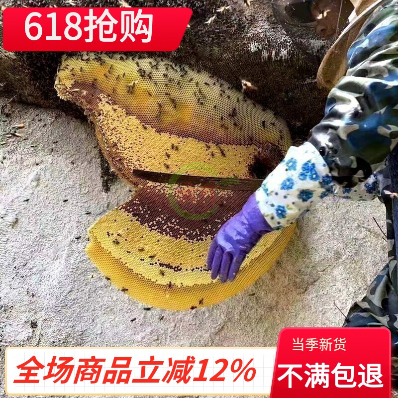 云南崖蜜野生岩蜂蜜酸巢蜜成熟