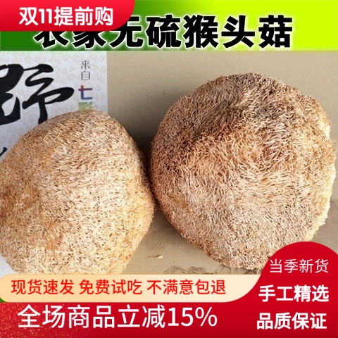 新货猴头菇250g农家无硫健康