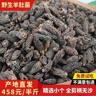 纯野生羊肚菌干货50g云南特产新鲜羊肚蘑菌菇 野生菌全剪柄头茬菇