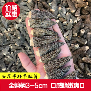 林下仿野生羊肚菌干货500g全剪柄云南高原半野羊肚菇头茬羊肚菌菇