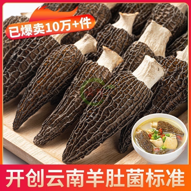 新货头茬羊肚菌500g肉质厚实