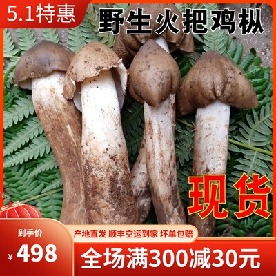 新鲜野生菌蘑菇荔枝云南特产