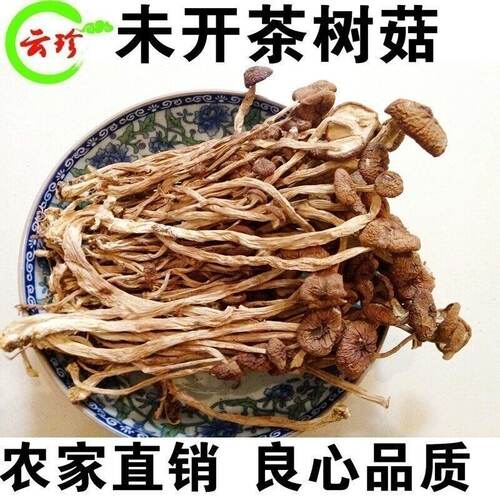 新货茶树菇干货农家自产菇朵