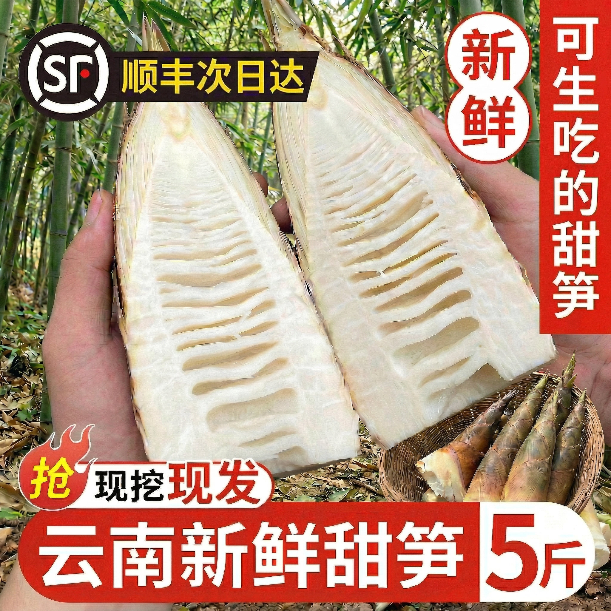 云南甜笋5斤 新鲜甜龙笋思茅普洱生吃水果竹笋鲜嫩春笋头蔬菜雷笋
