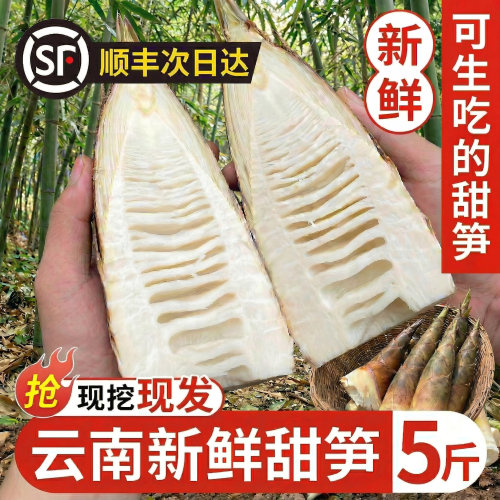云南甜笋5斤 新鲜甜龙笋思茅普洱生吃水果竹笋鲜嫩春笋头蔬菜雷笋 - 封面