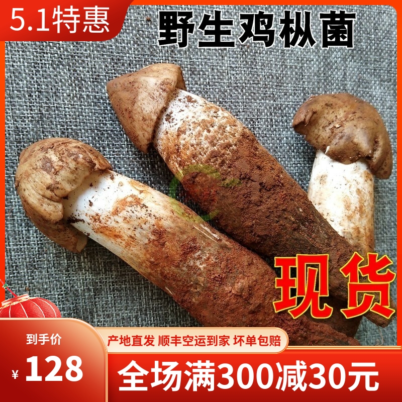 2024年现货新鲜野生鸡枞菌500g鸡纵云南野生菌特产鲜火把菌鸡枞 水产肉类/新鲜蔬果/熟食 新鲜松茸/菌菇 原图主图