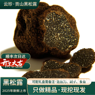 成熟新鲜黑松露松茸松露菌云南特产白松露菌野生菌猪拱菌菌菇块菌