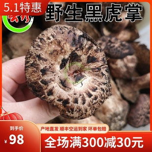 冰冻黑虎掌菌500克云南特产楚雄野生菌菇煲汤 鲜虎掌菌干货老虎菇