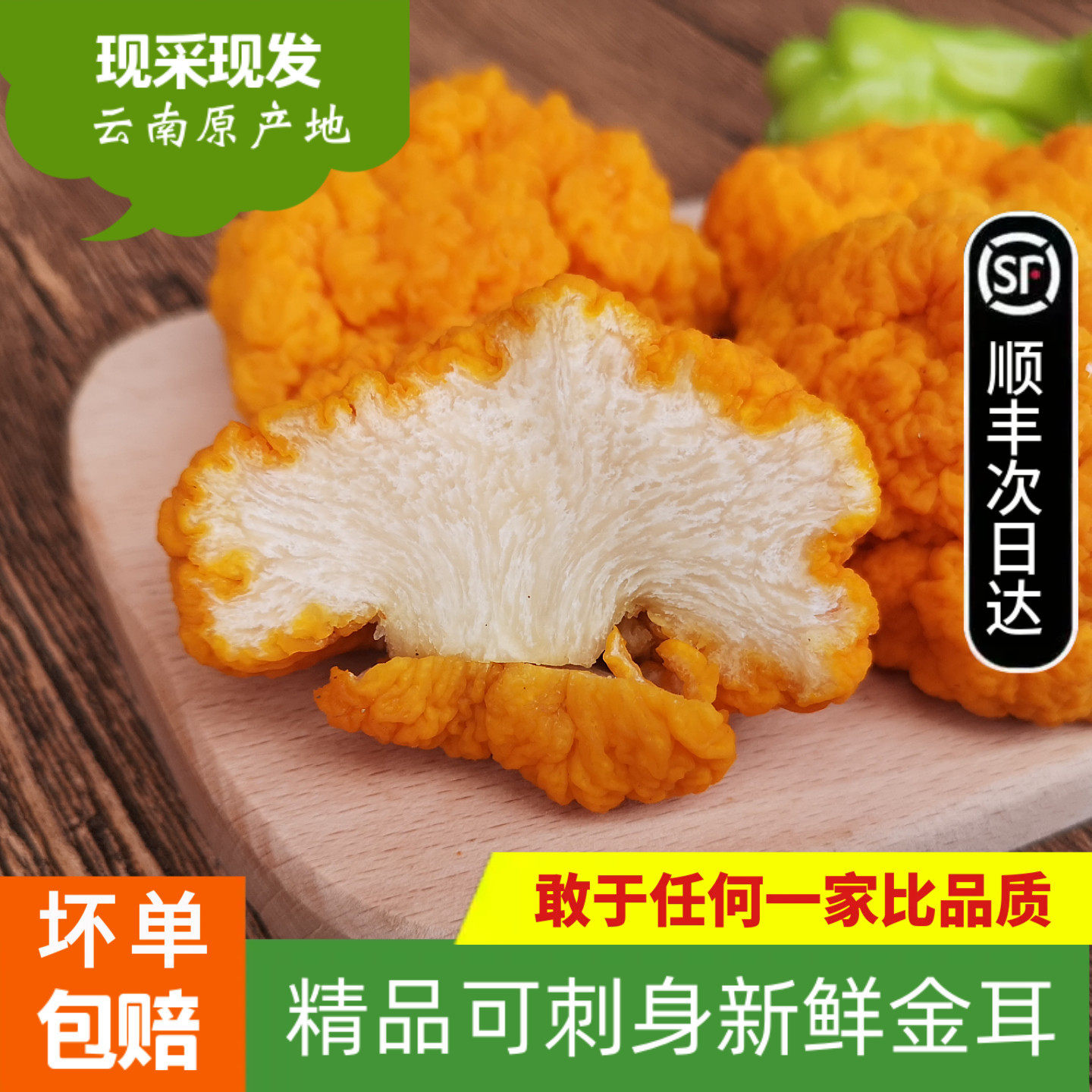 新鲜金耳菌500g 云南特产黄木耳非干货银耳菌野生菌 椴木金耳黄耳