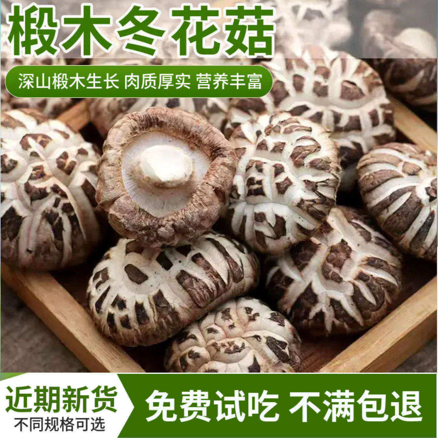野生椴木花菇干货正品纯天然无根花菇500g食用菌小蘑菇香菇土特产