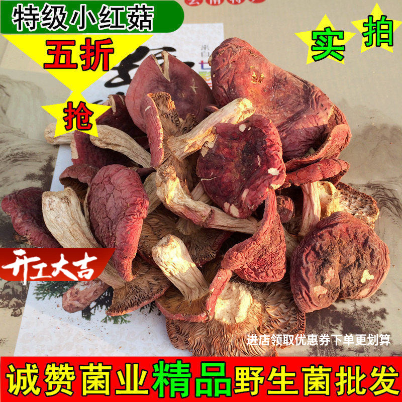 新货野生红菇200g 云南野生小红菇干货特价包邮蘑菇 野生菌小红菌