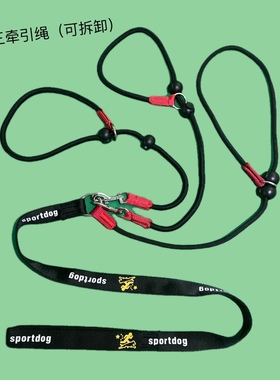 宠物P链P字绳训犬用品狗狗牵引绳遛狗绳子一拖二拖三可拆卸