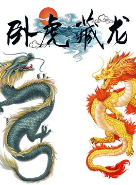 卧虎藏龙山海经圣兽龙霸气艺术贴花办公室客厅墙面遮划痕防水贴纸