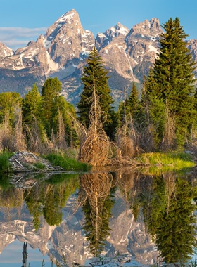 【画设计】14款