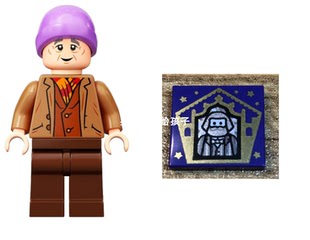 乐高 LEGO 人仔 76388 hp291 弗卢姆先生+6342521零件 全新独占