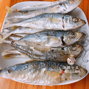 福建六鳌特产巴浪干海鲜干货自然新鲜风干下酒下饭