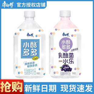 康师傅小酪多多乳酸菌风味饮品1L 12瓶饮料整箱清仓批发巨峰葡萄