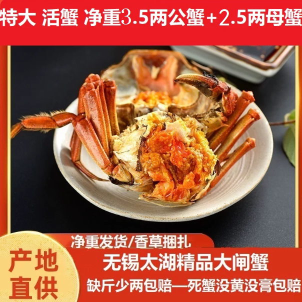 活蟹太湖大闸蟹2.5两母蟹3.5两公