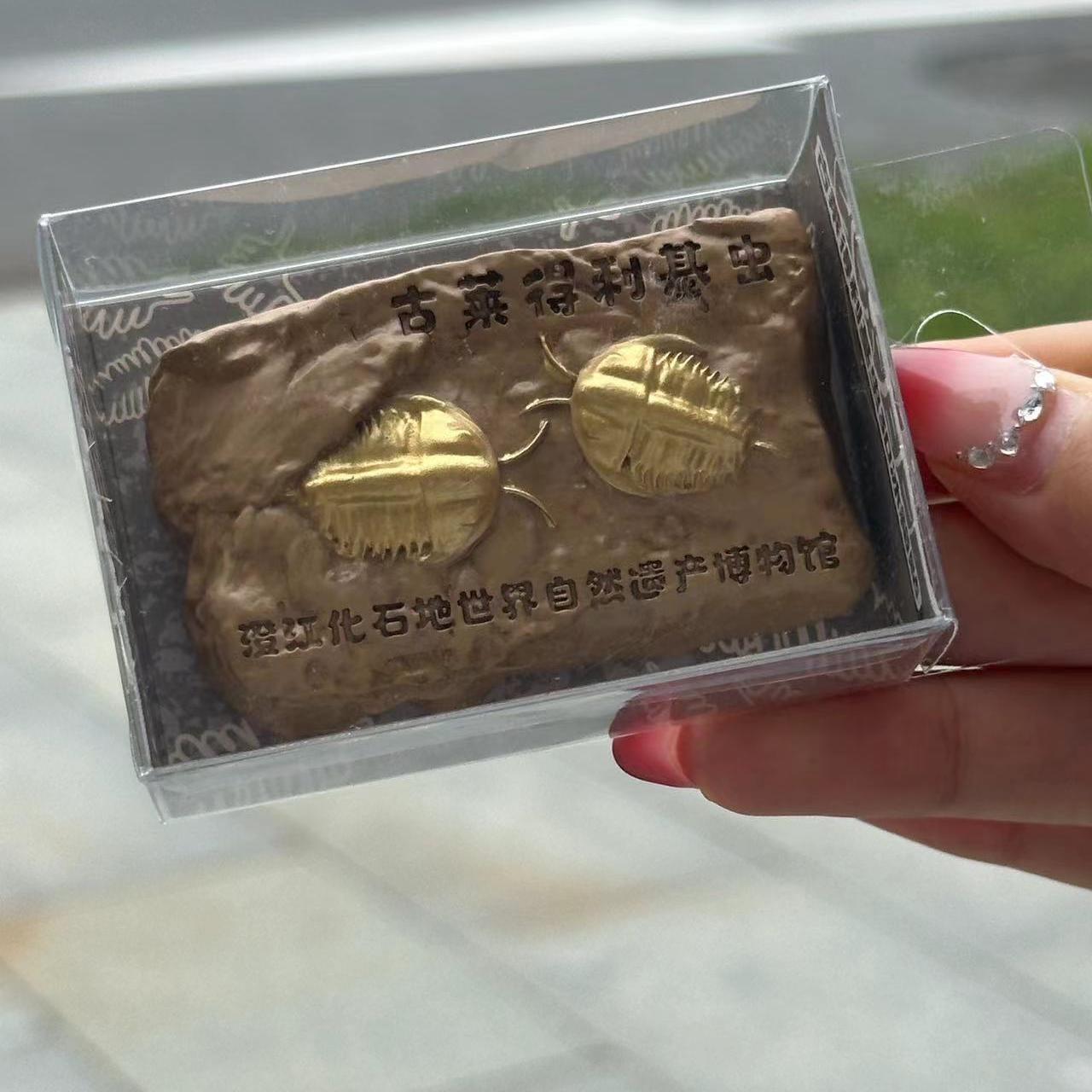 澄江化石地世界自然遗产博物馆古莱得利基虫3D冰箱贴