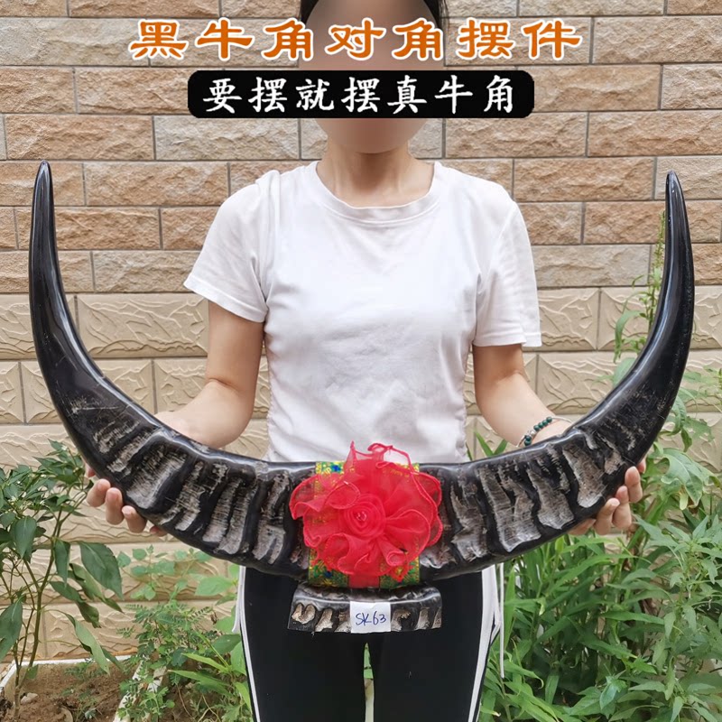 天然黑牛角对角摆件办公室客厅家居工艺品牛年风水招财镇宅礼物