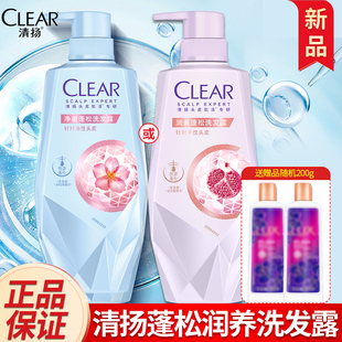【新品】清扬头皮护理控油焕活洗发露平衡头皮水油焕活秀发多组套