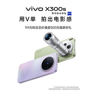 vivo X300s