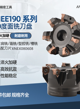 山高MEE190方肩快进给铣刀盘XNEX080608可转位双面六刃通装金鹭