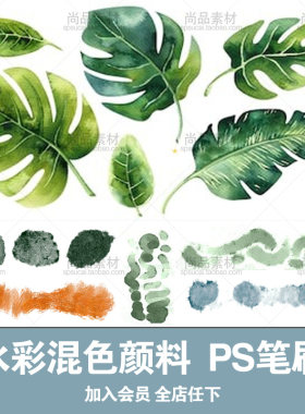 手绘插画山水风景北欧风植物预设素材ps笔刷水彩混色绘画颜料画笔