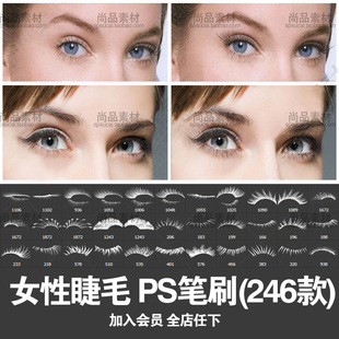 ps笔刷睫毛眉毛人物绘画预设素材眼睛假睫毛装扮设计画笔合集下载