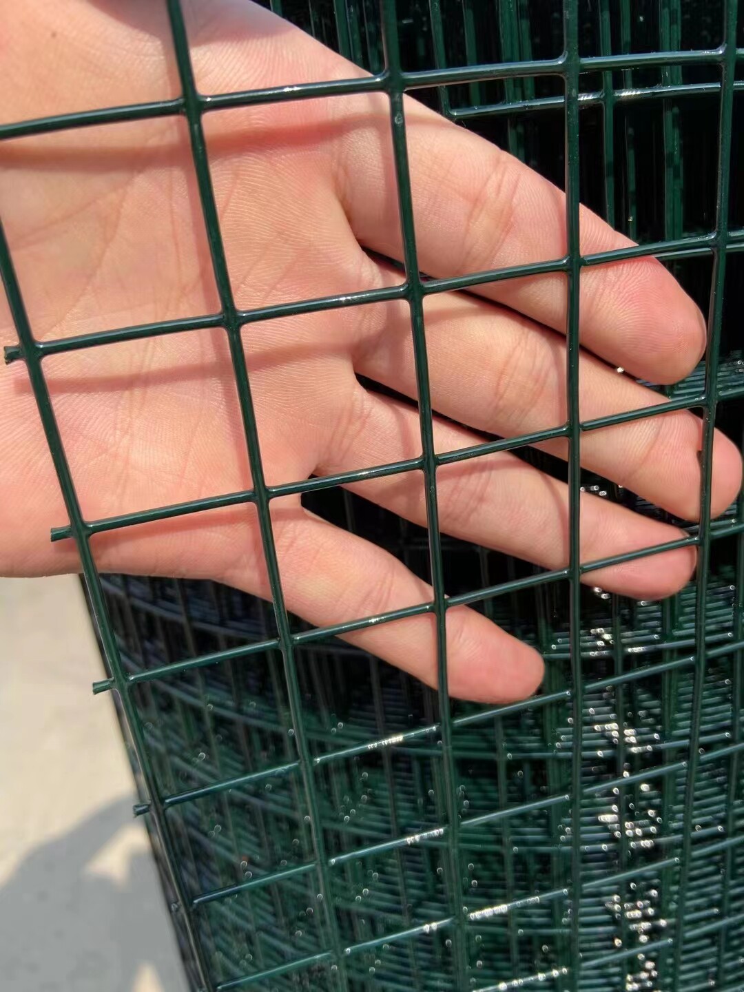 硬塑3厘米孔浸塑电焊网荷兰网养殖网防护网围栏栅栏网小孔加硬